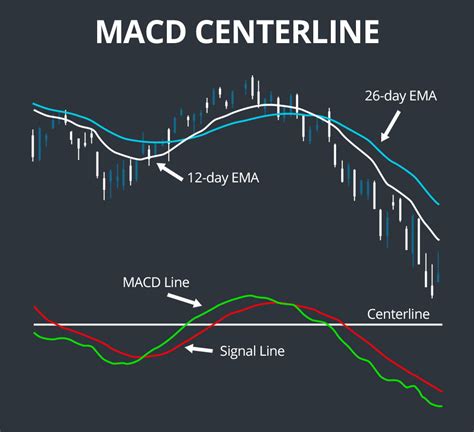 Coin tracker, Moving Average Convergence Divergence, Wallet
